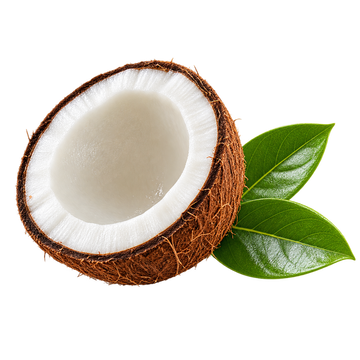 Kelapa Dara